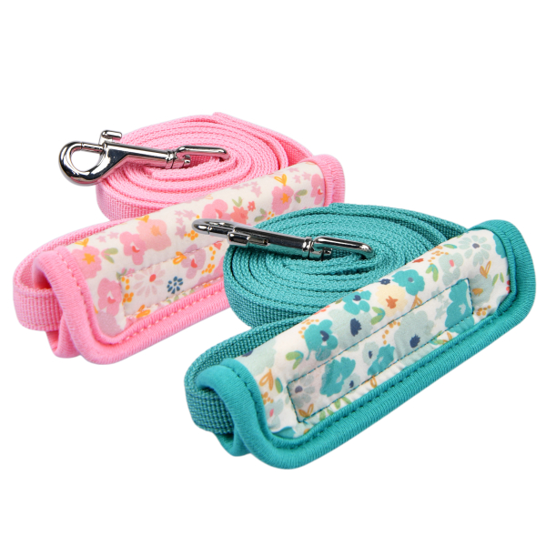 Amabel Leash
