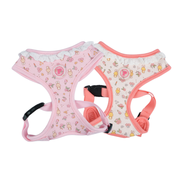 Amara Harness