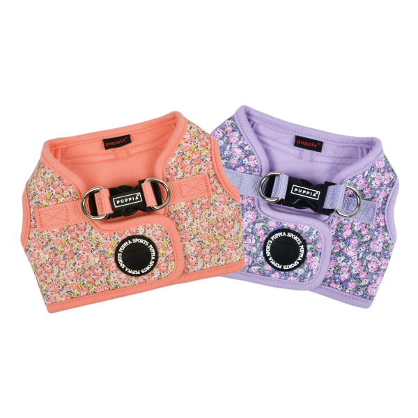 Kealoha Harness B