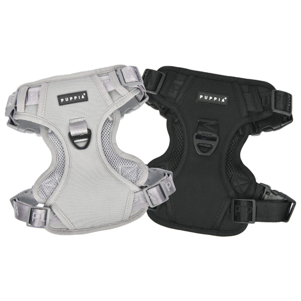 Jarek Harness H