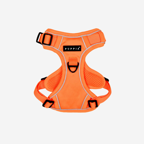 Neon Harness H