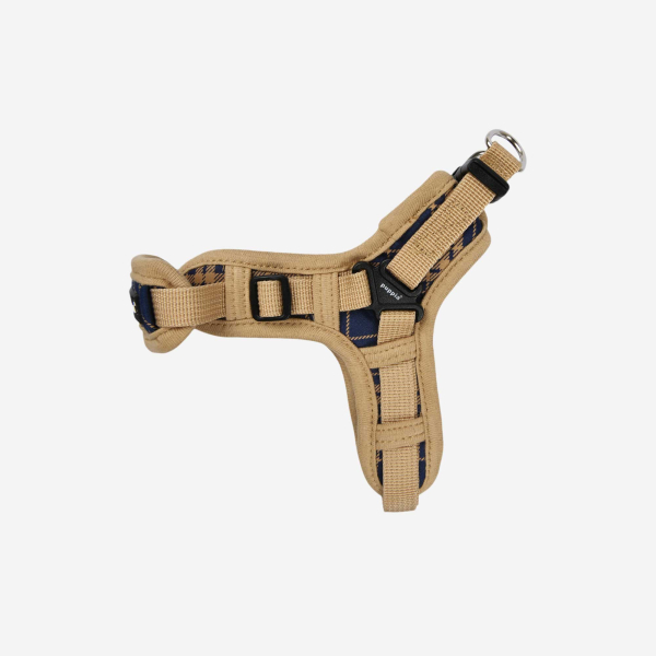 Corwin Harness X