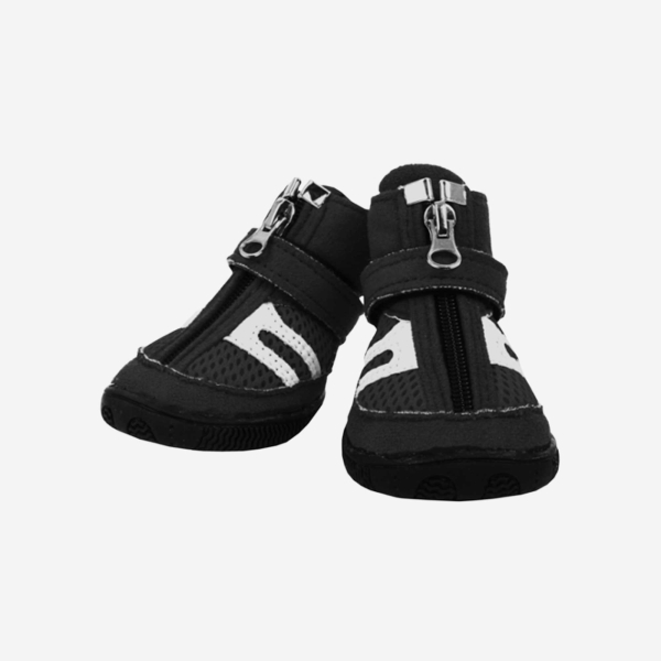 Hiker (B Type)