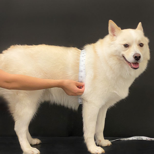 Chest measurement