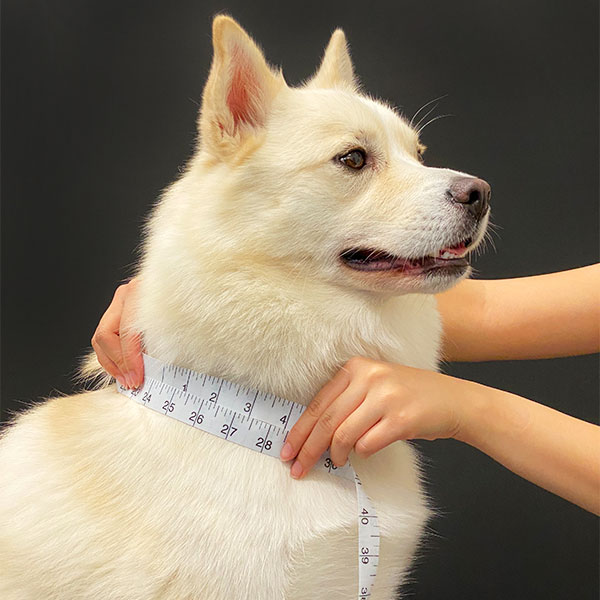Neck measurement